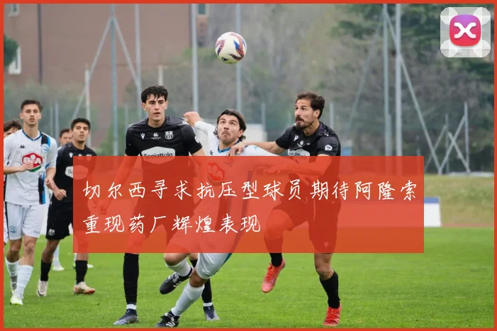 切尔西寻求抗压型球员期待阿隆索重现药厂辉煌表现